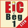 Icon Editor in Chief® Beg 1 (Lite)