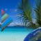 Holidays for countries: D-A-CH-US-FR-ES-CN-UK-PL-CZ
