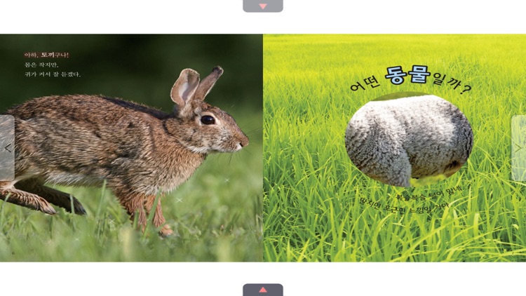 과학동화 - 꿈꾸는 겨자씨 과학동화 시리즈1