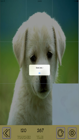 Picture Puzzles Brain Teasers(圖3)-速報App