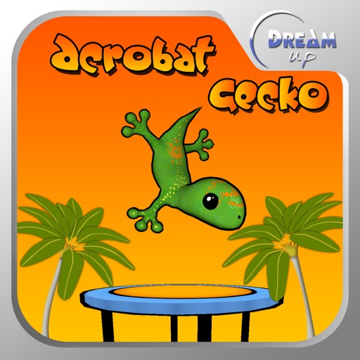 Acrobat Gecko