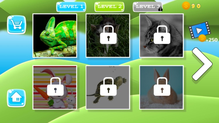 Puzzle Pets Dogs Cats Game