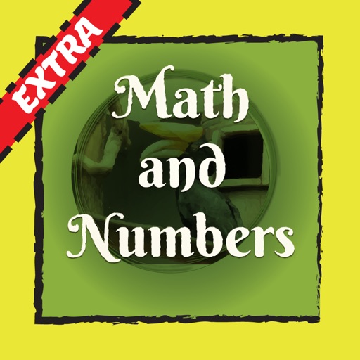 Math and Numbers Extra Icon