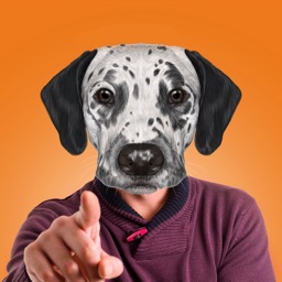 Visage D'animal Autocollant