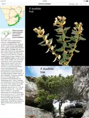 etrees of southern africa ipad images 3