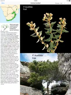 ETrees of Southern Africa iPad image 3