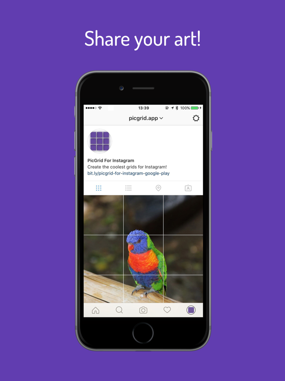 PicGrid for Instagram iPad screenshot