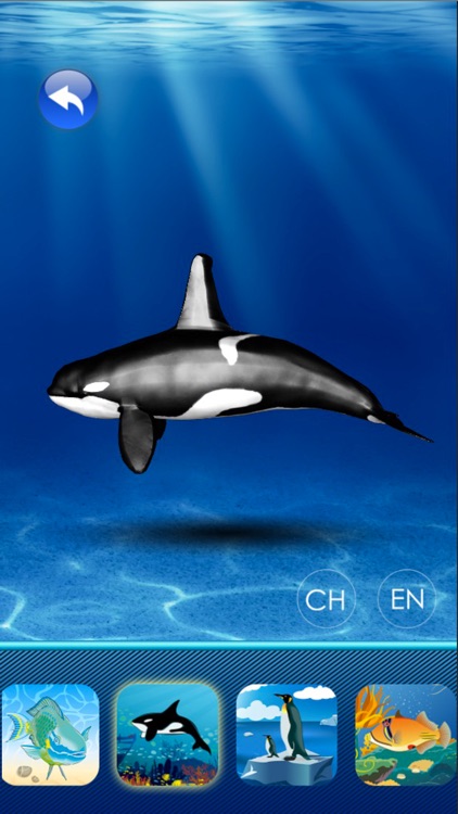 3D Zoo and Aquarium for Kids screenshot-3