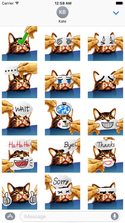 Paper Cat - Stickers for iMessage