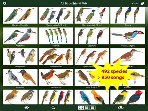 All Birds Trinidad and Tobago screenshot 2