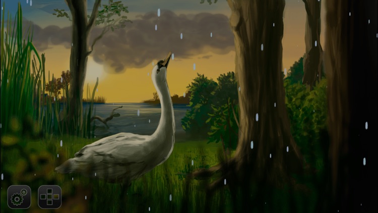 Where Do Swans Sleep? picture story book app for kids screenshot-3