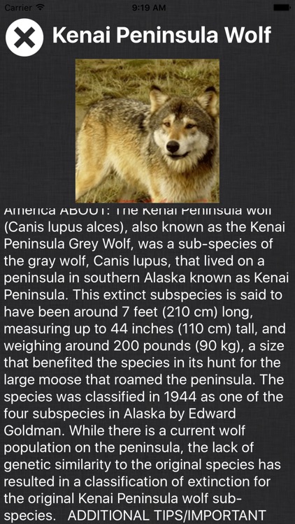 Animal Book - Information Of A-Z Animals Species