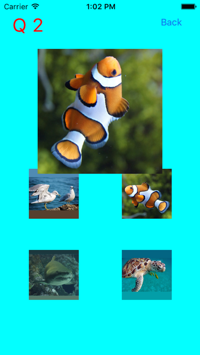 Screenshot #1 pour Which Is The Same Fish? for Clownfish and Friends