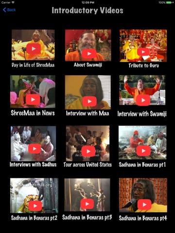 Durga Puja Advanced screenshot 3