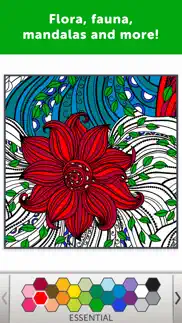 adult coloring book - coloring book for adults iphone screenshot 3