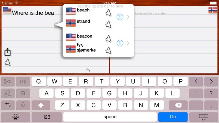 Norwegian Translator