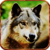 2016 American Wolf Hunter Pro Challenge Pro