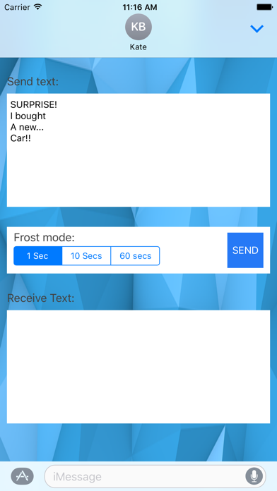 Screenshot #2 pour Frost.m - self destructing texts
