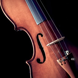 Violin for Beginners - Learn How to Play Violin