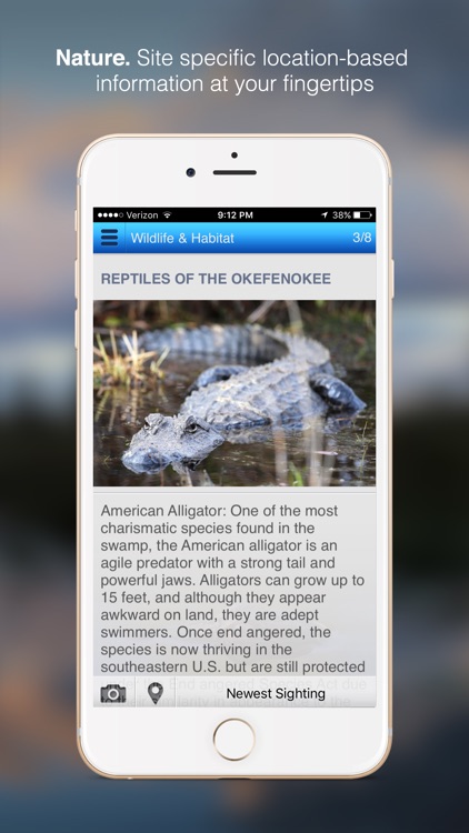 Discover Nature Wilderness