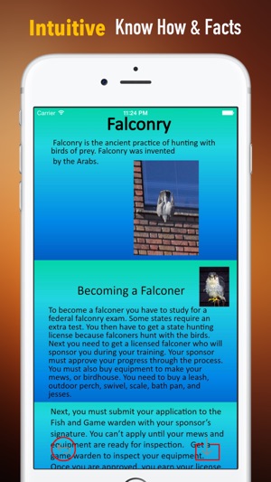 Falconry 101:Handbook and Training Guide(圖1)-速報App