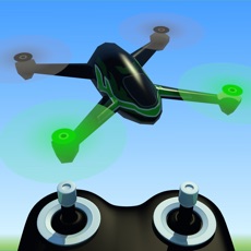 Activities of Electric RC Sim