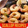 Scallop Recipes - Gourmet Salmon and Scallop Seafood Recipes