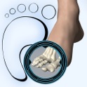 Podiatry 3D (Free Version) icon
