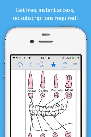 Dental Dictionary by Farlex screenshot 3