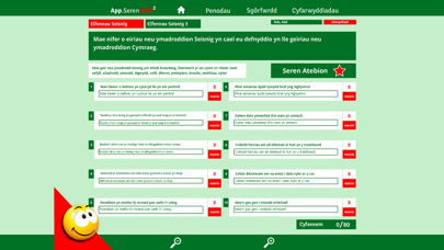 Screenshot #1 pour Seren Iaith 2 Set 4