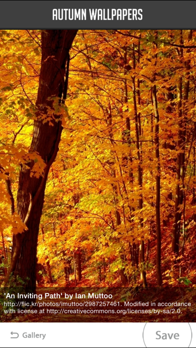 Screenshot #3 pour Autumn Wallpapers