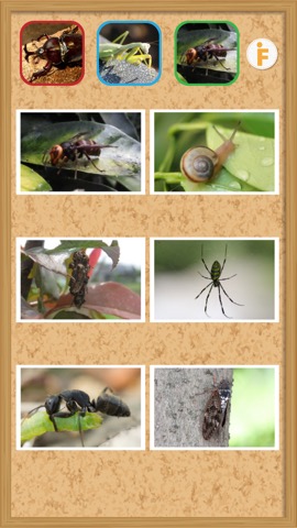 とびだす昆虫園-ムシ図鑑のおすすめ画像3