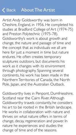 Game screenshot DSM Public Art hack