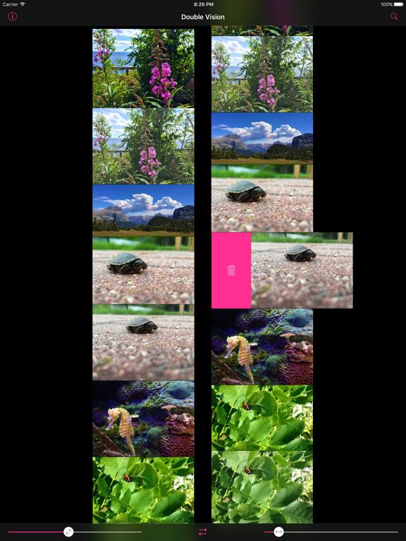 Screenshot #6 pour Double Vision