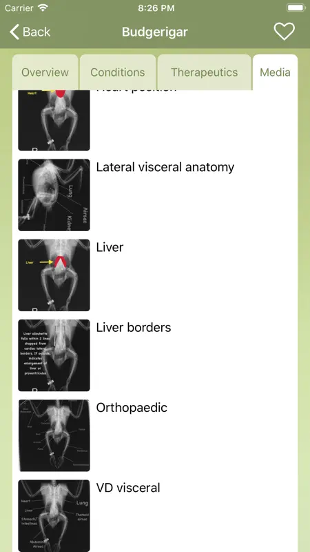 Veterinary Care of Exotic Pets screenshot 3 of 5