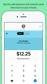Pennies Mini - Share budgets with your friends screenshot
