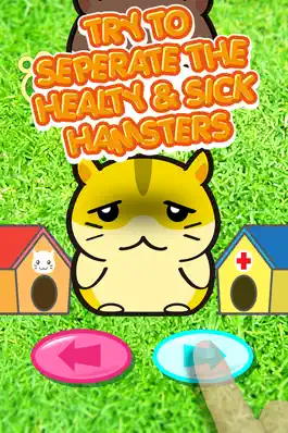 Game screenshot Littlest Smart Hamster Pet Shop - Cage For My Friendly Pets hack