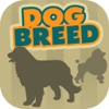 Dog Breeds Trivia Quiz – All Types of Your Favorite Dogs in the Same Place