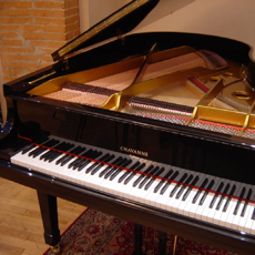 Activities of Piano Note Choose