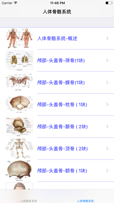 人类器官系统|人体骨骼构造大全のおすすめ画像1