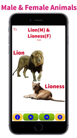 Animals & Animal Sounds Kids Toddlers Zoo App(圖5)-速報App