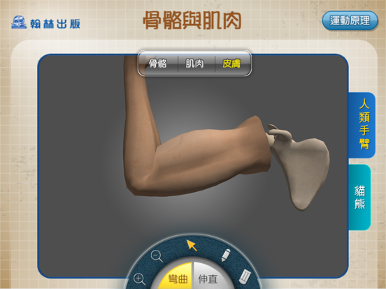 Screenshot #4 pour 3D骨骼與肌肉