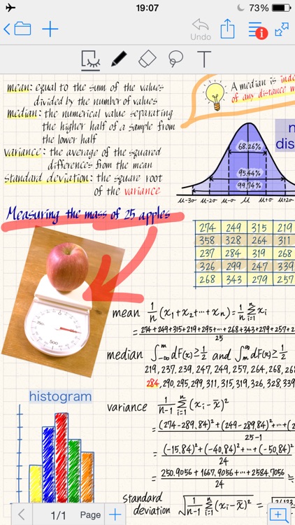 MetaMoJi Note Lite