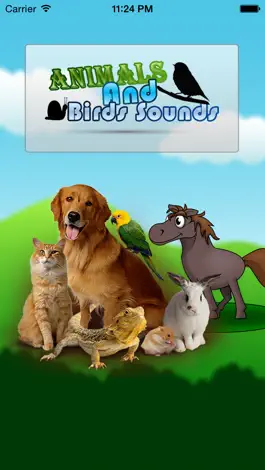 Game screenshot Animal And Bird Sounds mod apk