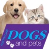 Australian Dogs & Pets