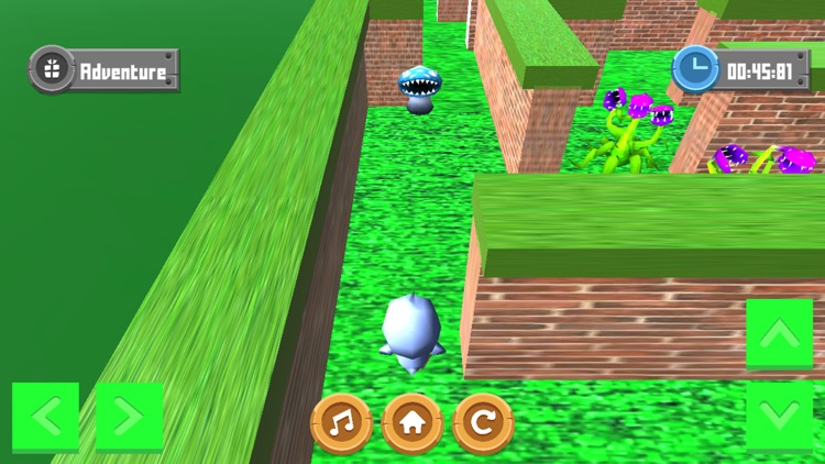 Adventure Maze 3D screenshot-3