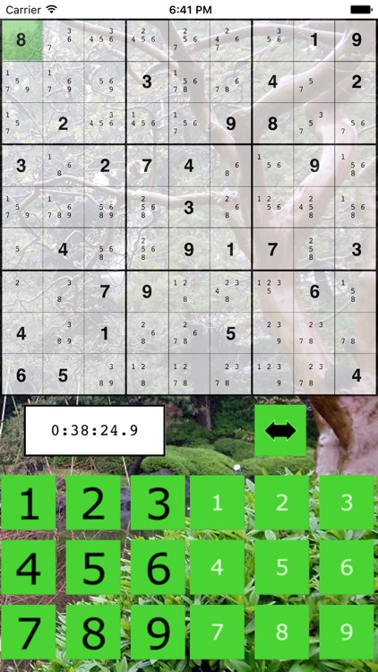 The Big Sudoku screenshot-3