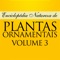 A terceira obra da coleção Enciclopédia Natureza de Plantas Ornamentais apresenta textos e fotos de 50 espécies do Brasil e do mundo