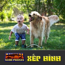 Activities of Kids Animal Slide Puzzle Ghép Hình Động Vật Cho Bé