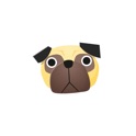 Kyoto Pug icon